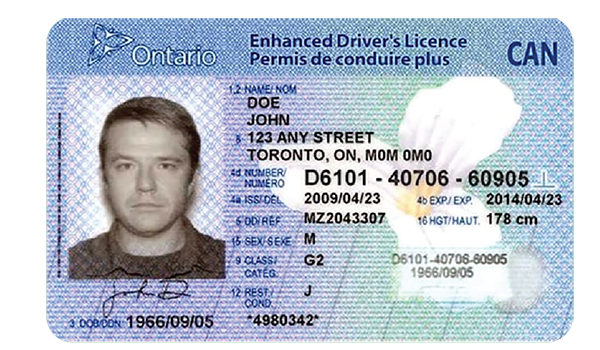 DMV Change of Address, Driver's License & More | DMV.ORG