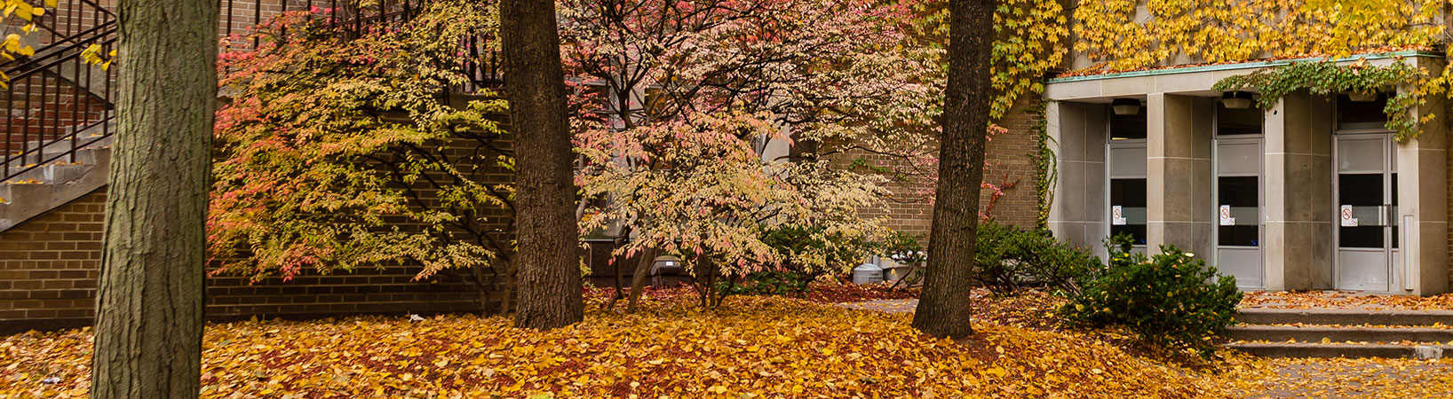 Kerr Hall North with colourful orange, red and yellow fall leaves.