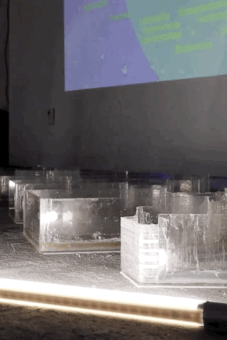 A close-up of various clear acrylic tanks with an amber liquid being poured into them.