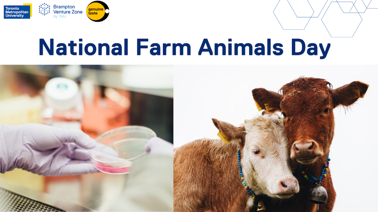 National Farm Animals Day - 1